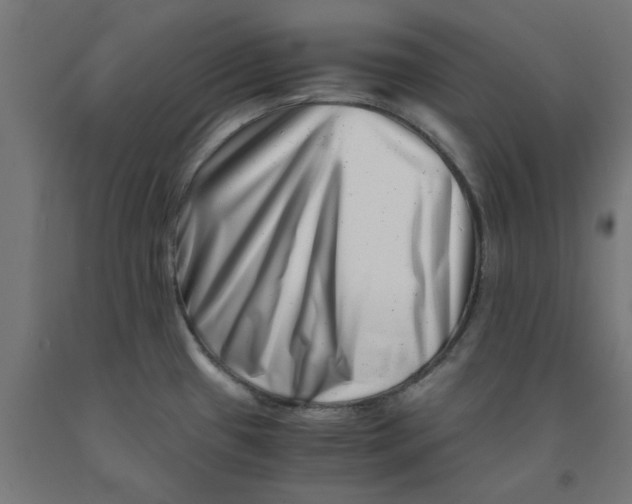 X0000090881433200708241931