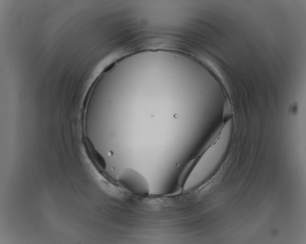 X0000090881434200708241931