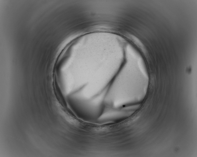 X0000090881435200708241931