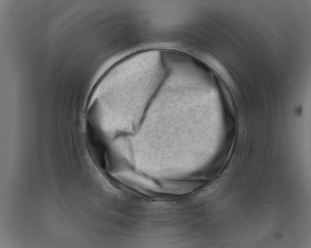 X0000090881436200708241931