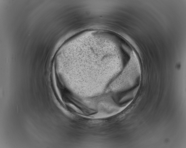 X0000090881437200708241931