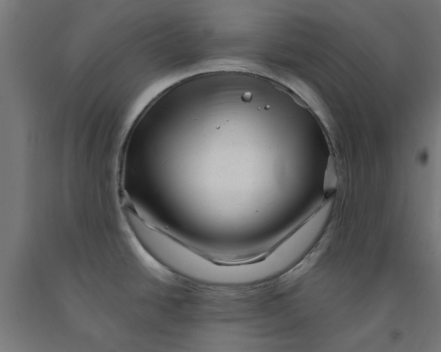 X0000090881438200708241931