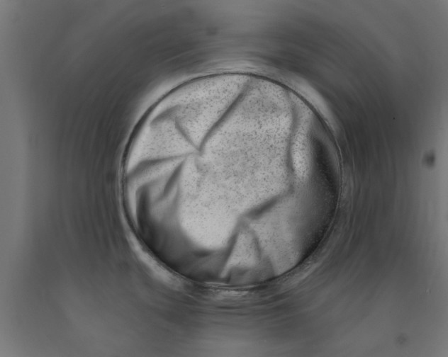 X0000090881439200708241931