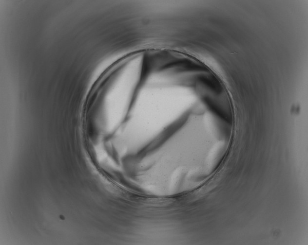 X0000090881440200708241931