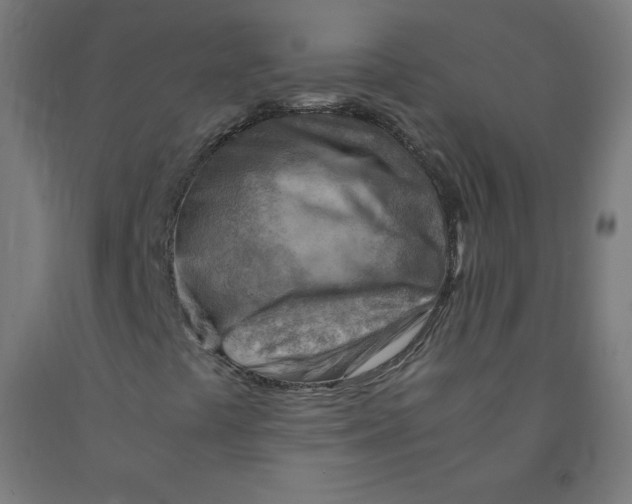 X0000090881441200708241931