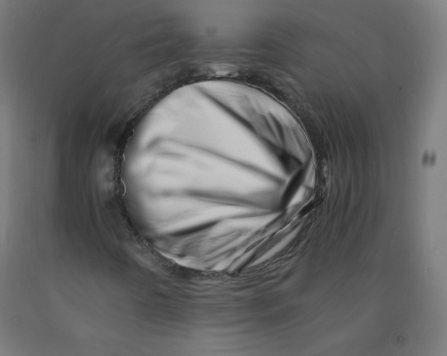 X0000090881442200708241931