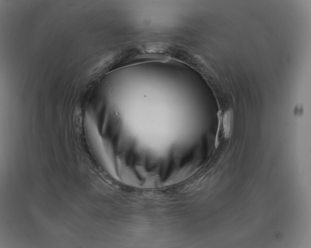 X0000090881443200708241931