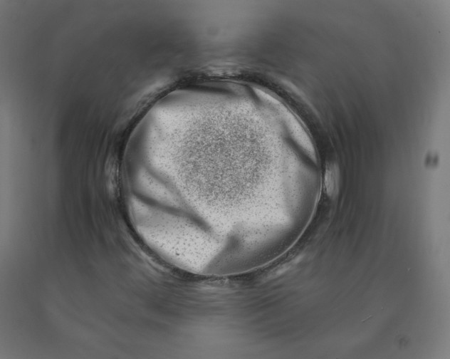 X0000090881444200708241931