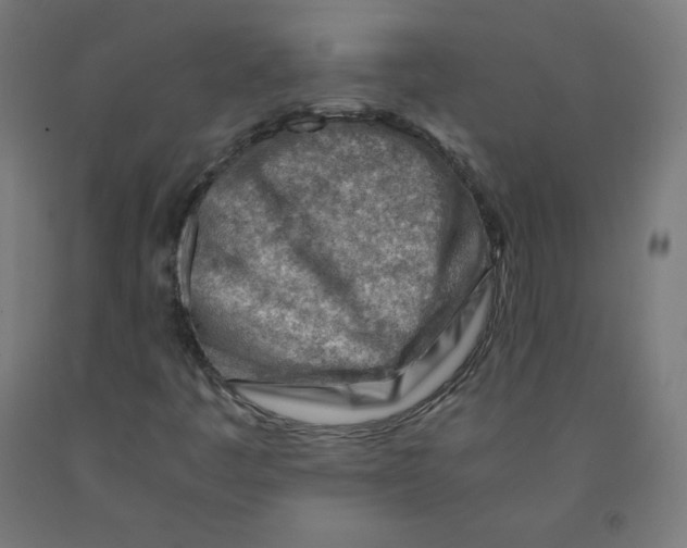 X0000090881445200708241931