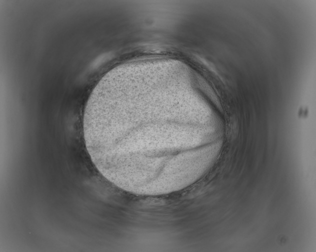 X0000090881446200708241931