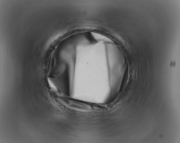 X0000090881448200708241931