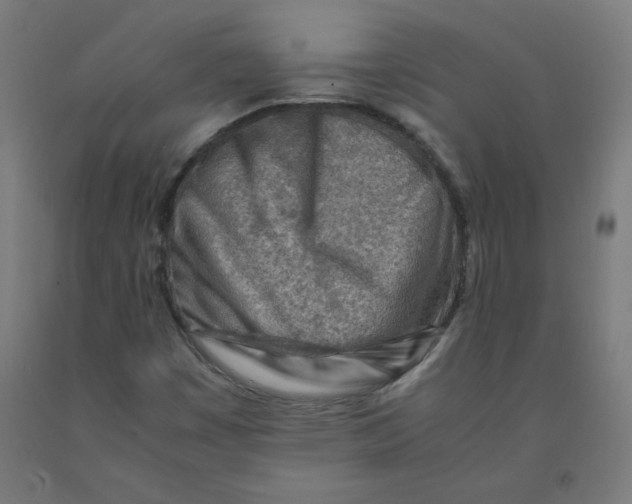 X0000090881449200708241931