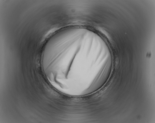 X0000090881451200708241931