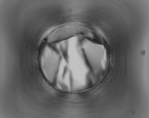 X0000090881452200708241931