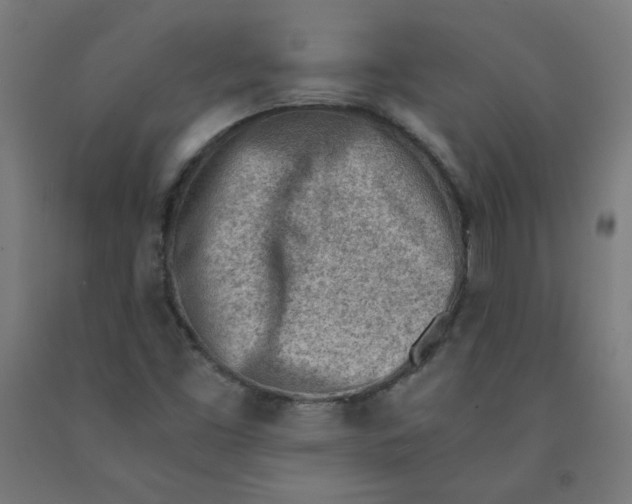 X0000090881453200708241931