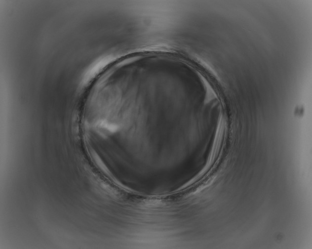 X0000090881455200708241931