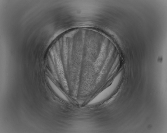 X0000090881457200708241930