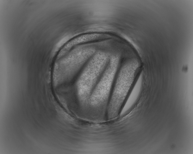 X0000090881459200708241930