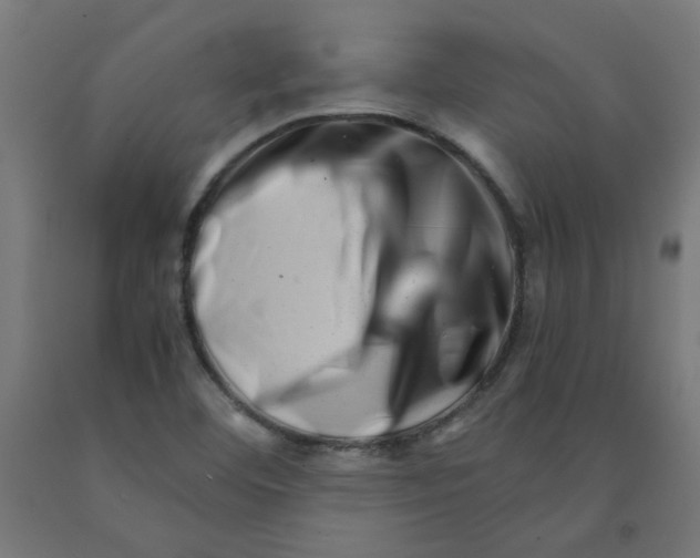 X0000090881460200708241930