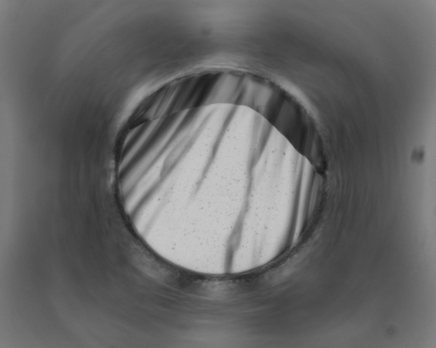 X0000090881461200708241930