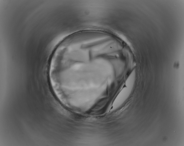 X0000090881463200708241930