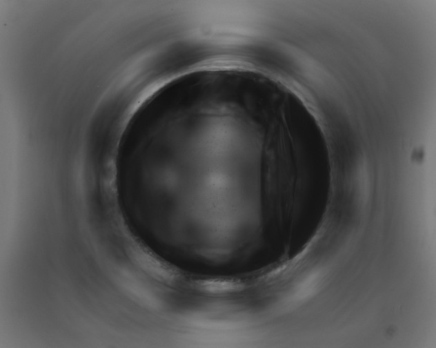 X0000090881465200708241930