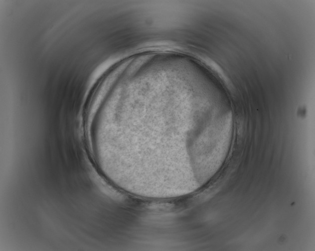 X0000090881466200708241930