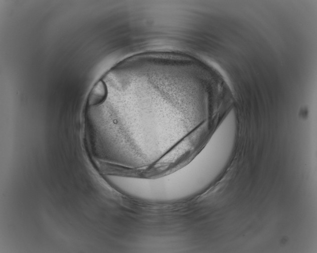 X0000090881467200708241930