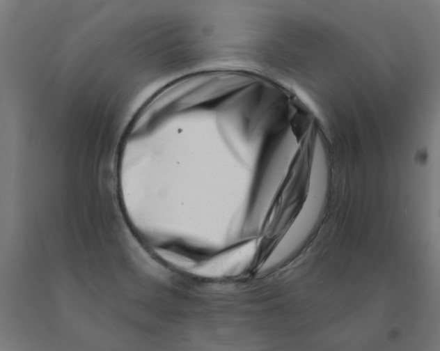 X0000090881468200708241930