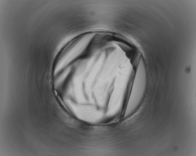 X0000090881469200708241930