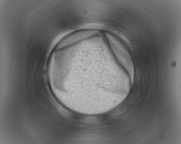 X0000090881470200708241930