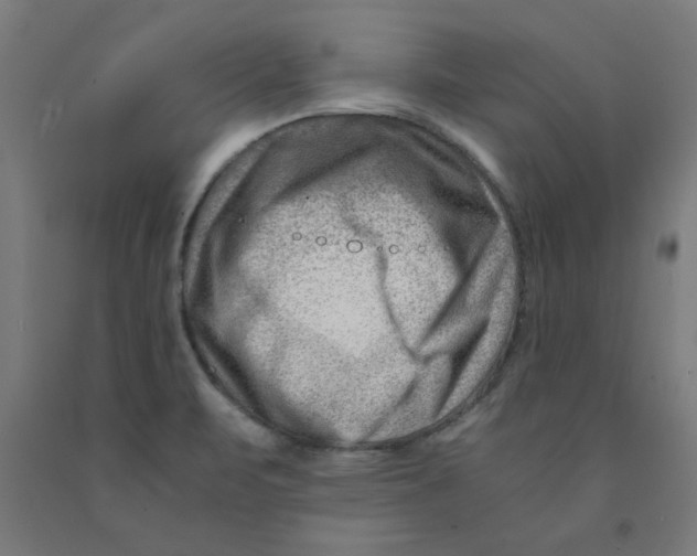 X0000090881471200708241930