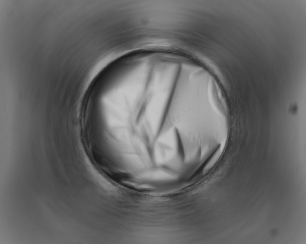 X0000090881475200708241930