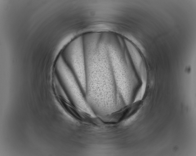 X0000090881477200708241930