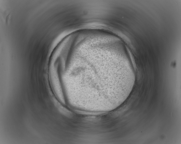 X0000090881478200708241930