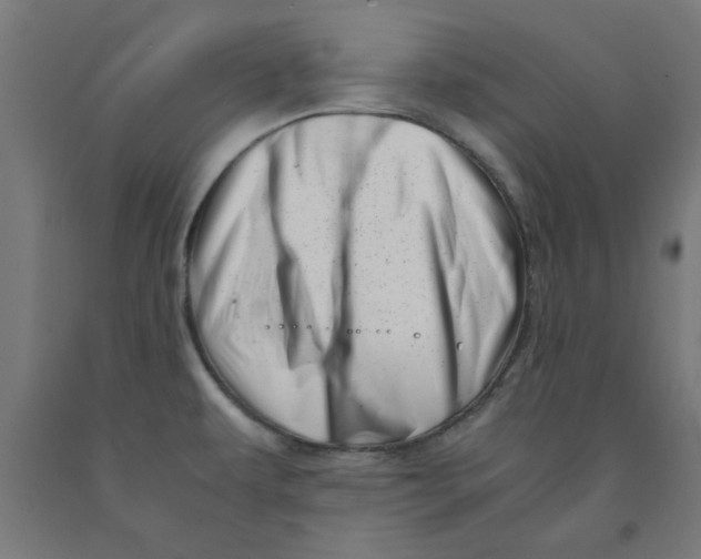 X0000090881479200708241930