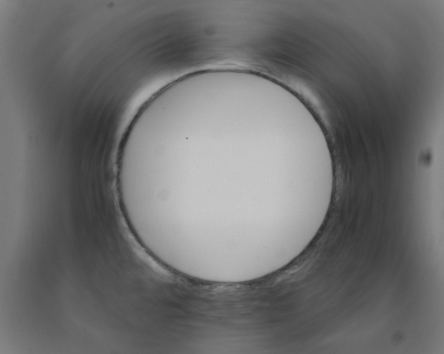 X0000090881480200708241930