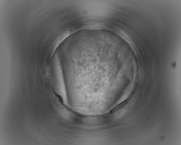 X0000090881481200708241930