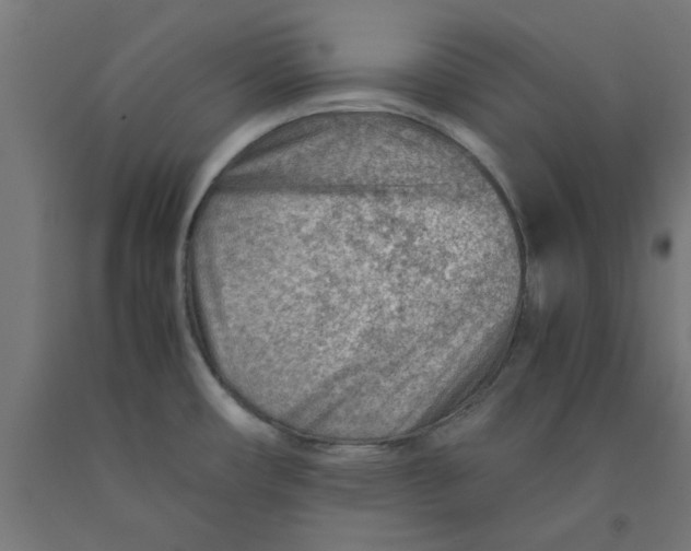 X0000090881482200708241930