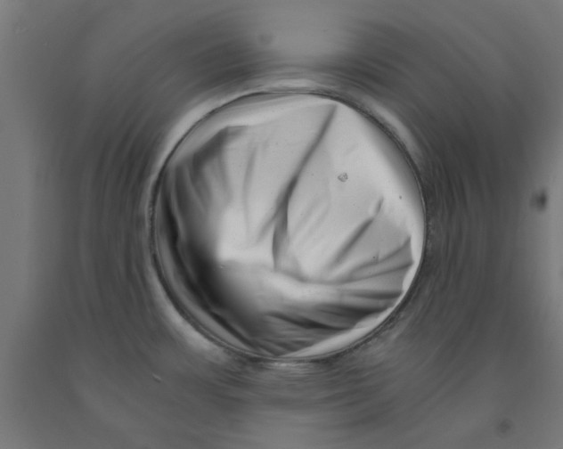 X0000090881483200708241930