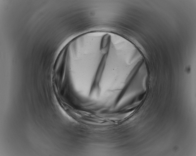 X0000090881484200708241930