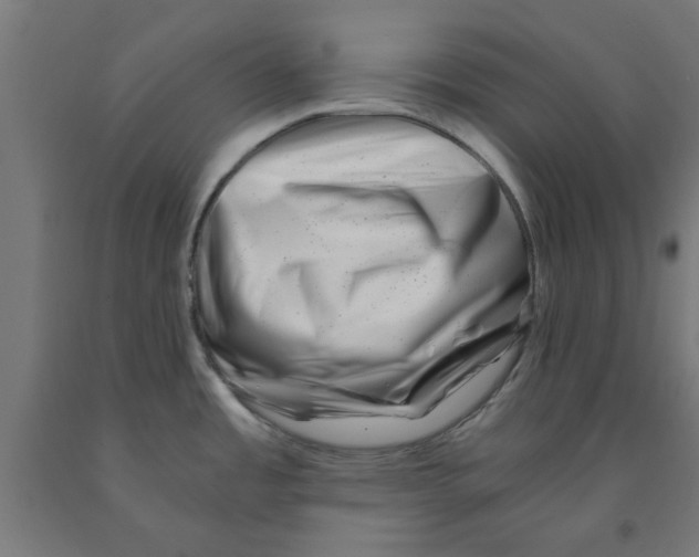 X0000090881485200708241930