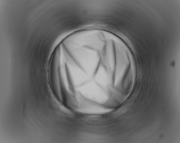 X0000090881486200708241930