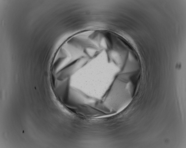 X0000090881488200708241930