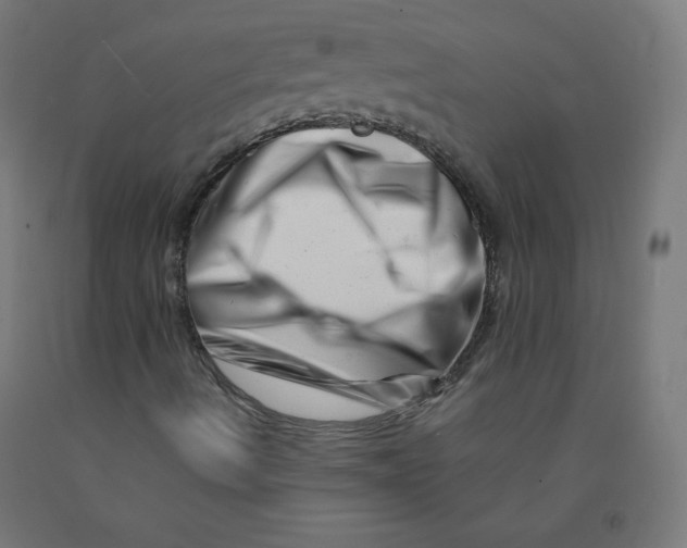 X0000090881490200708241930