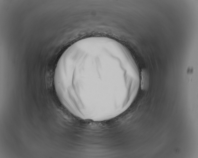 X0000090881491200708241930