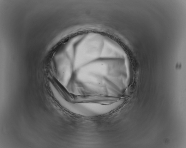 X0000090881496200708241930