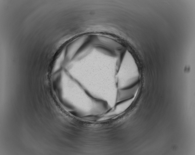 X0000090881497200708241930