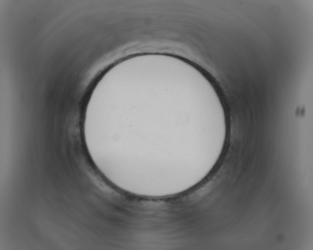 X0000090881498200708241930