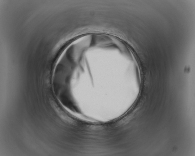 X0000090881499200708241930